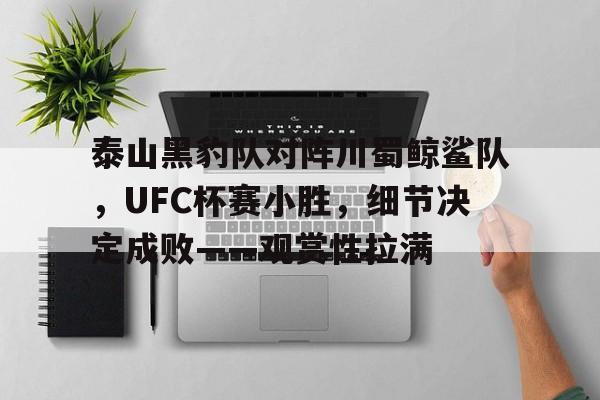 开云下载-泰山黑豹队对阵川蜀鲸鲨队，UFC杯赛小胜，细节决定成败——观赏性拉满